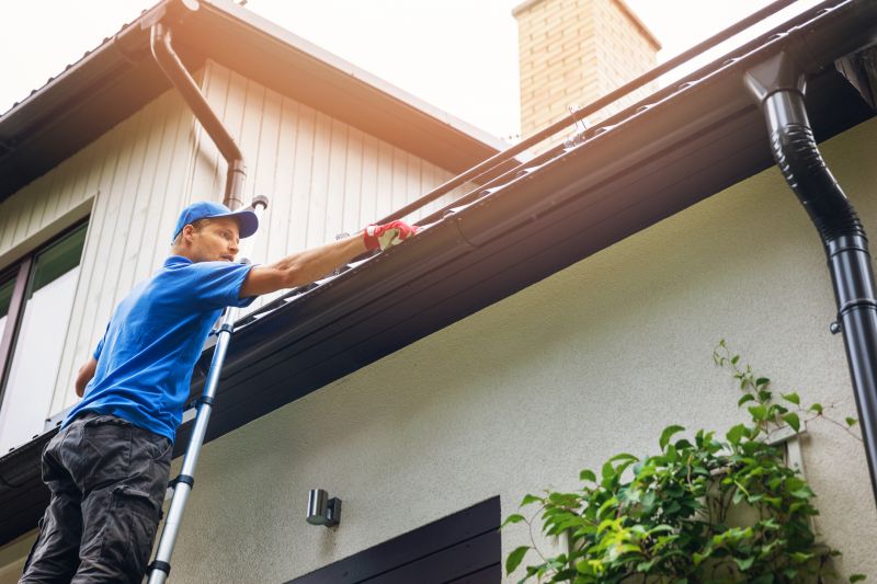 Local Gutter Maintenance Services